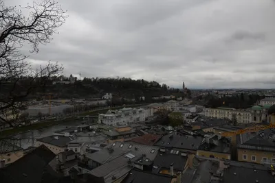 DSC_7046 (Large).JPG